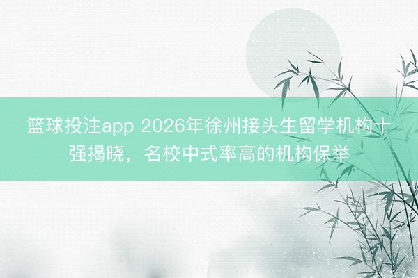 篮球投注app 2026年徐州接头生留学机构十强揭晓,名校中式率高的机构保举
